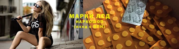 индика Навашино