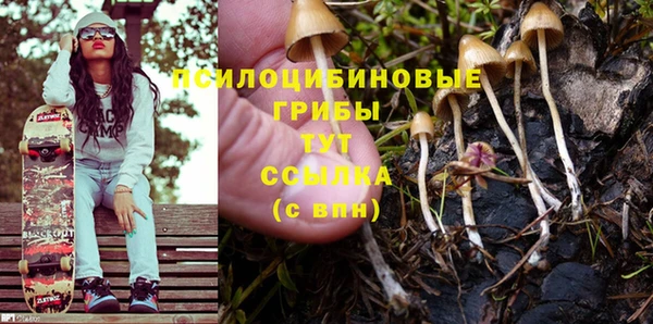 индика Навашино